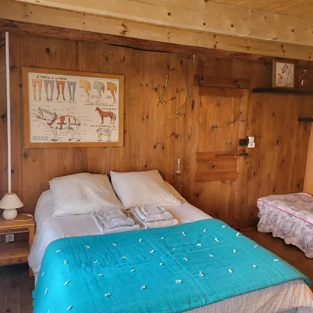 Authentique De La Riviere Holiday home Saint-Andre-de-Chalencon